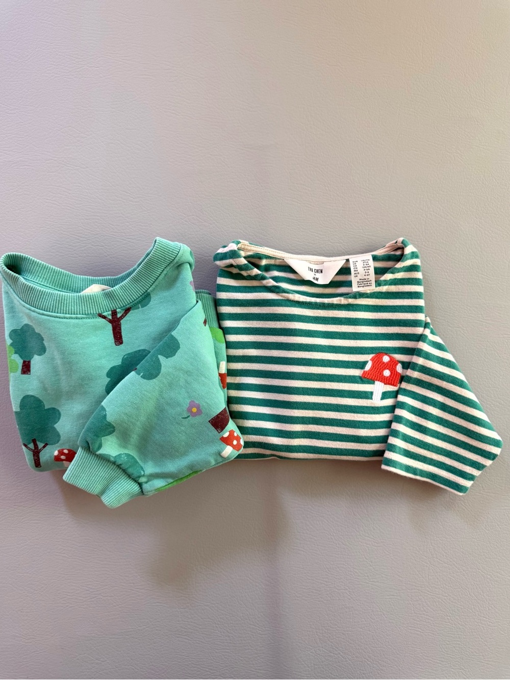 H&M Eva Chen Mushroom & Trees Sweatshirt and Long Sleeve Shirt Set Kids 5T 6